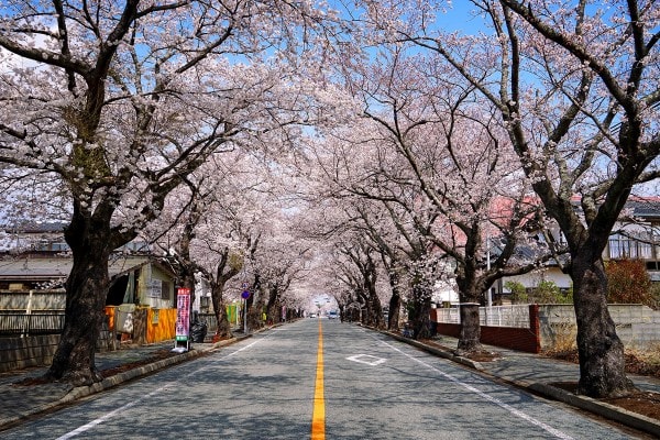 夜ノ森