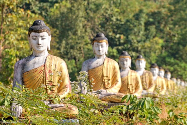 Lumbini Buddha Garden