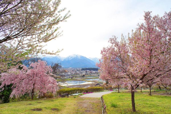 市民の森
