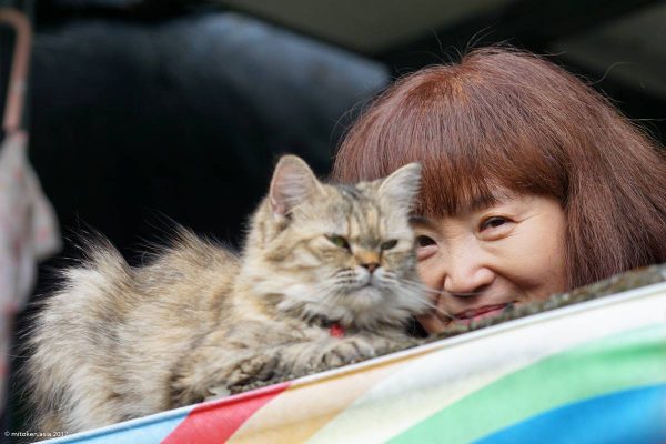 猴硐猫村