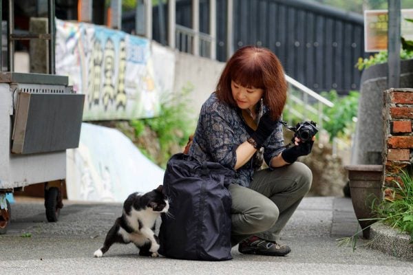 猴硐猫村