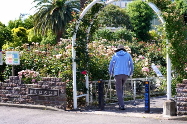 青和ばら公園
