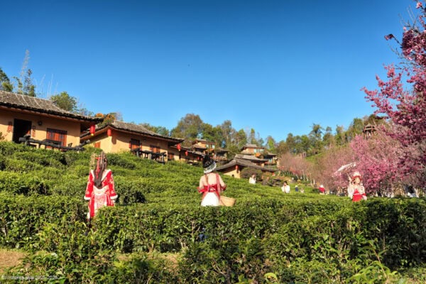 Lee Wine Ruk Thai Resort