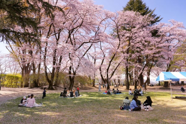 沼田公園