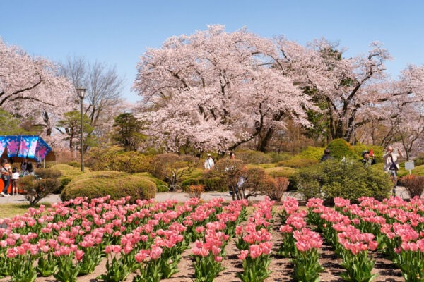沼田公園