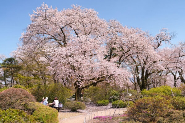 沼田公園