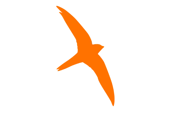 Black Swift Technologies Logo Orange