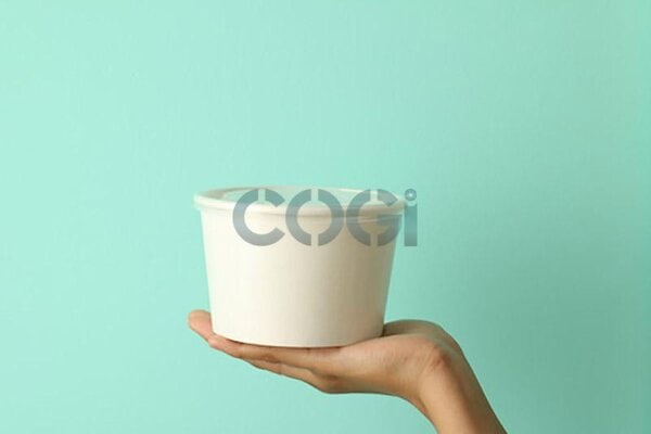 Tô giấy bát giấy (3)