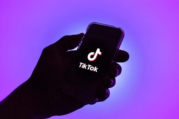 BAIXAR VIDEO TIKTOK: OS SITES E APPS MAIS SEGUROS