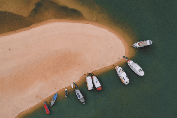 Read more about the article What to do in Pará, Brazil: Discover the best places!