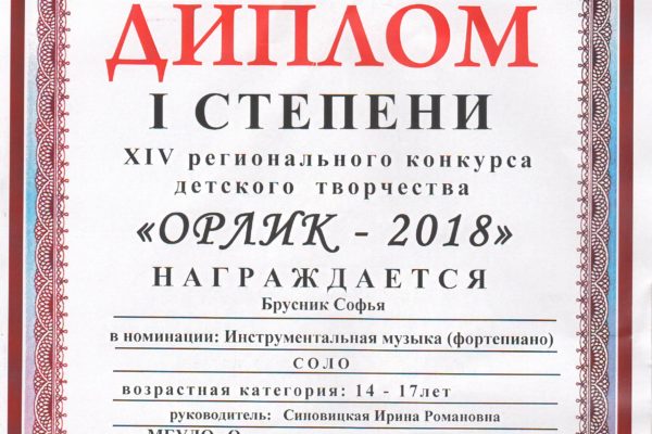 Достижения учеников