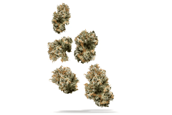 4 Quarter Special