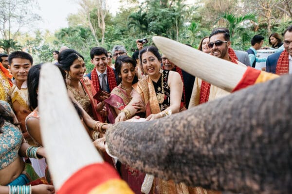 Guests celebrating beside an elephant at an Indian wedding Baraat in Thailand