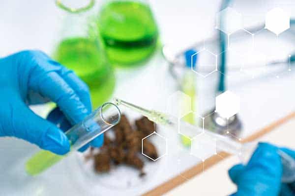 About MoCann Marijuana Testing Laboratory St. Louis