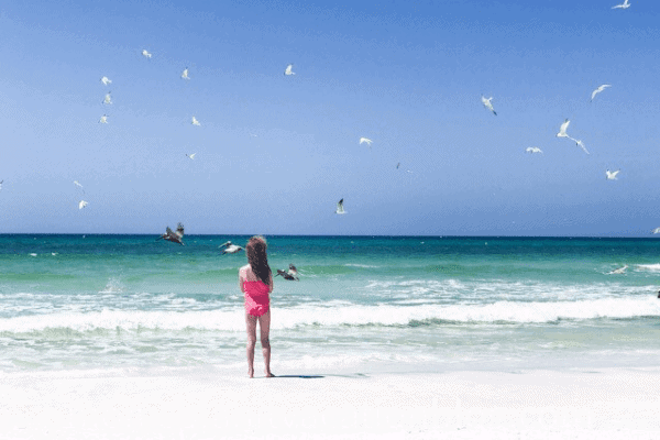 beach with girl and birds