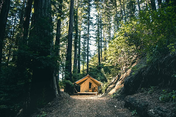 tent image