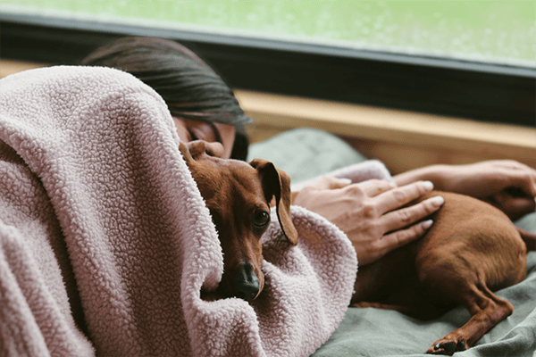 dog and owner