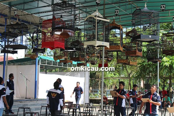 Lomba burung berkicau GOC Cup 1 Jogja