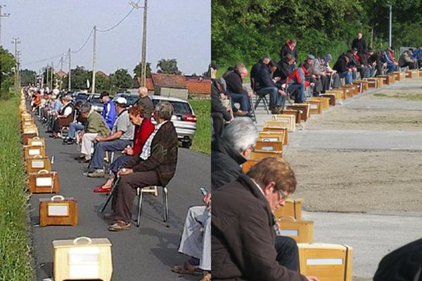 lomba burung finch Suasana lomba burung finch di Flanders, Belgia
