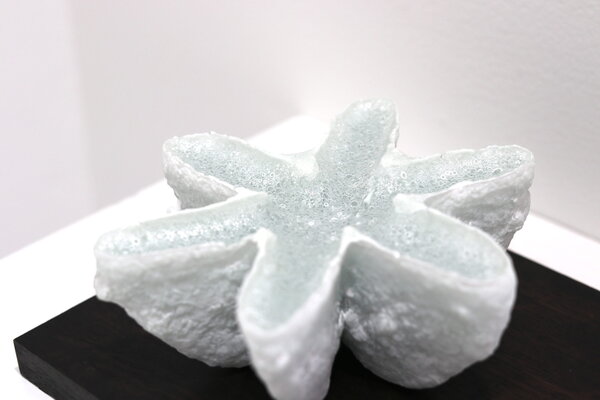 Small seedling-III - 画像 (2)