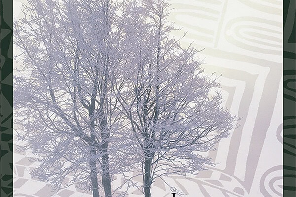 Book Cover for: African Diaspora in Canada: Negotiating Identity and Belonging