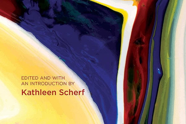 Book Cover for: Adventures in Small Tourism