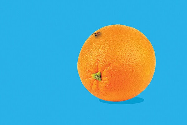 Book Cover for: book of sentences