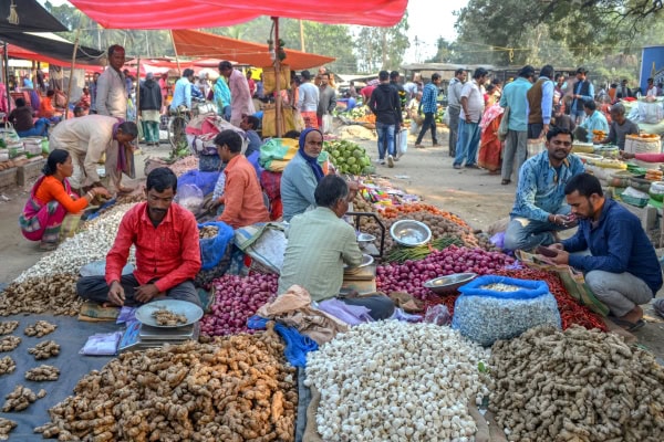 Durgapur haat, the weekly market (5)