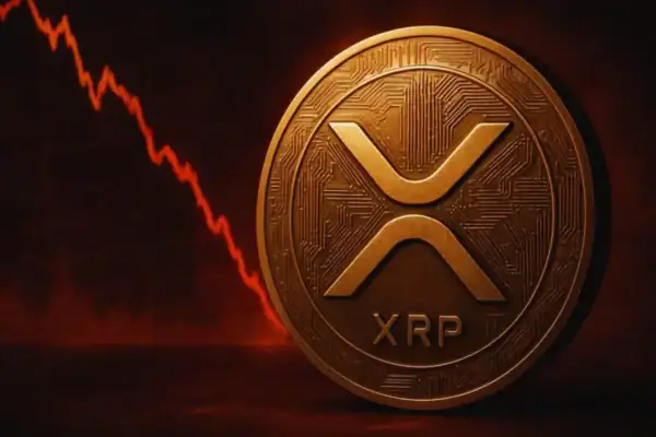 xrp zukunft