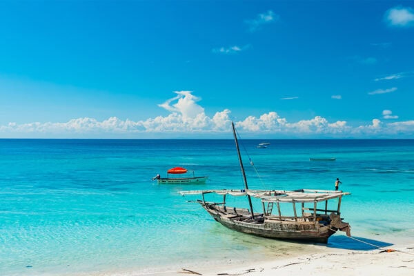 6-Day Majestic Tanzania Wildlife Luxury Safari 6-Day Majestic Tanzania Wildlife Luxury Safari