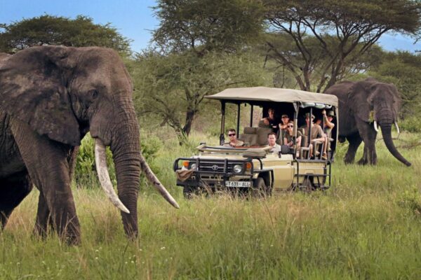 19 Days East Africa Safari | Kenya, Tanzania, Uganda & Rwanda Gorilla Trekking Tour 19 Days East Africa Safari | Kenya, Tanzania, Uganda & Rwanda Gorilla Trekking Tour
