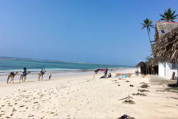 9-Day Magical Kenya Wildlife Safari and Beach Holiday 9-Day Magical Kenya Wildlife Safari and Beach Holiday