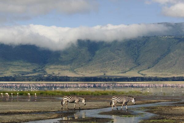 Ngorongoro- Conservation Ngorongoro- Conservation