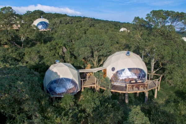 Ngorongoro Forest Camp Ngorongoro Forest Camp