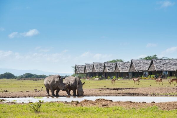 Sweetwaters Serena Camp.