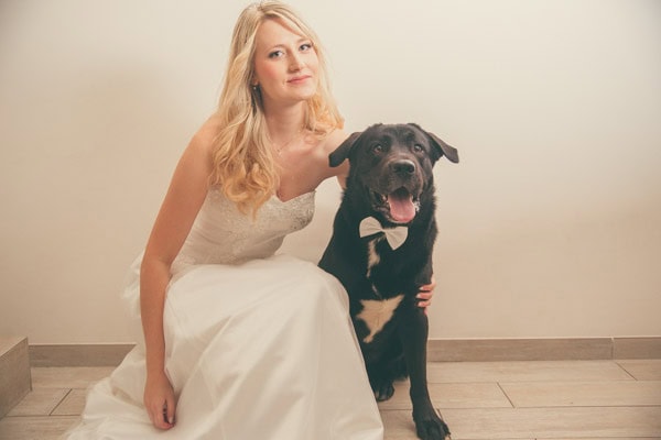 servizio fotografico col cane fotografo animali domestici