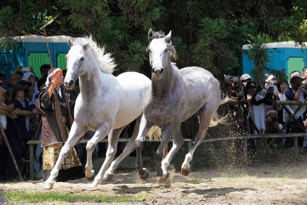 相馬野馬追