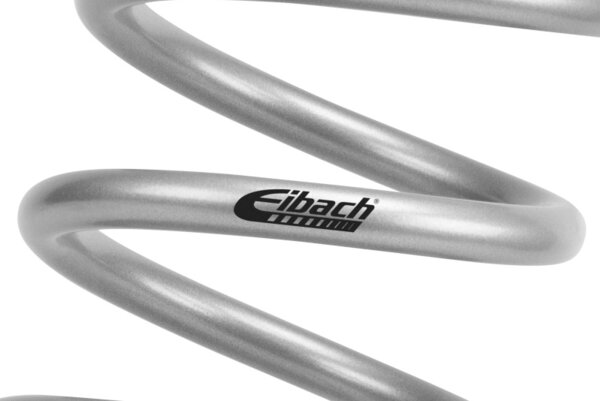eib1200.250.0125S: EIB ERS Springs