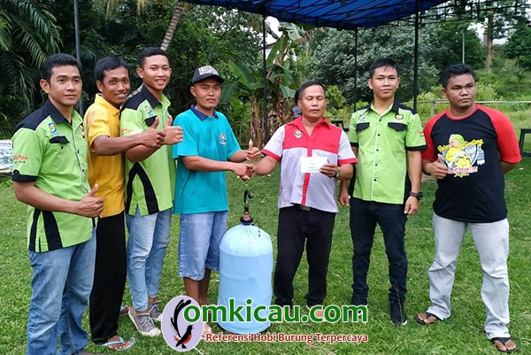 lovebird juara