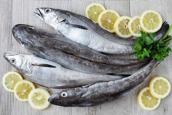 Merluzzetti del mediterraneo
