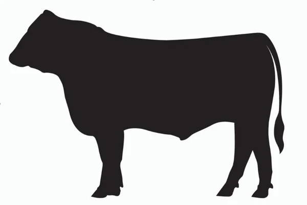 whole beef share
