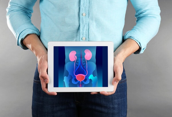 Risorse Web urologia
