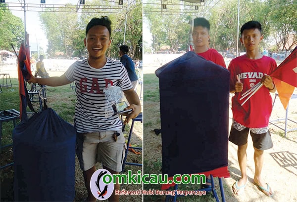 juara kacer