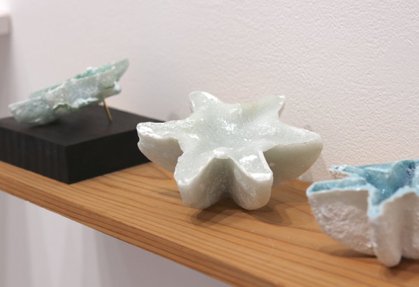 Small seedling-V - 画像 (2)