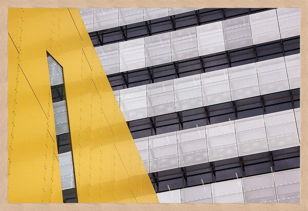 Continuation - Framed to Edge - Image 2