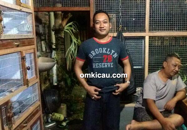 breeding lovebird warna Mak'e Bird Farm breeding lovebird warna Mak'e Bird Farm