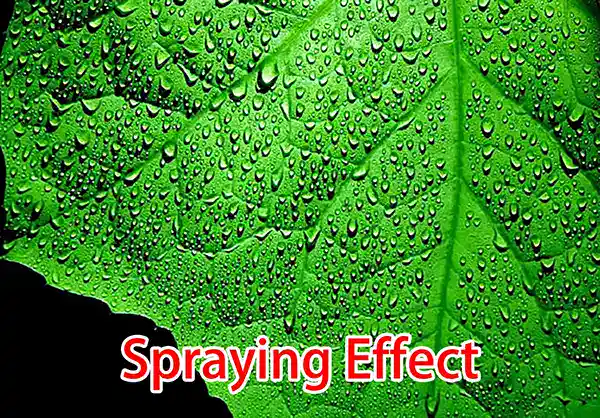 self propelled sprayer Product Detail Images 10