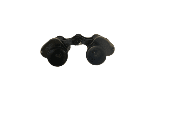 Carl Zeiss Jena DF 8x – Bild 3