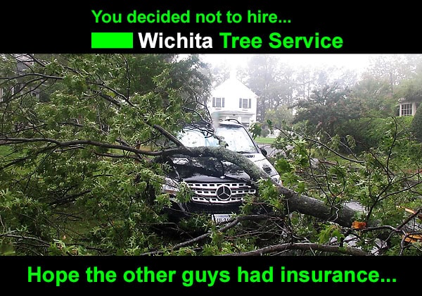 tree service near Wichita ks