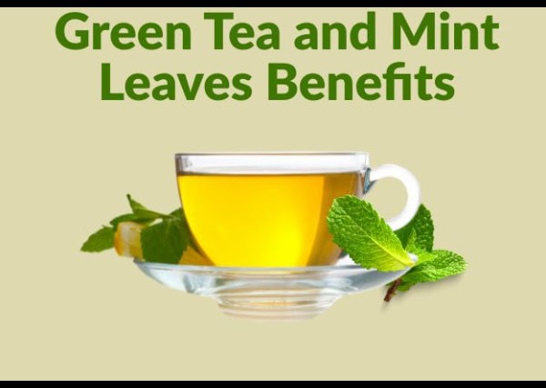 Green tea and mint leaves health benefits infographic